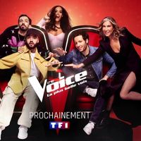 "The Voice" 2023 : Date de diffusion, coachs, nouvelles règles... Tout ce qu'il faut savoir sur la 12e saison