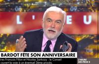 "Je vous regarde tous les soirs !" : L'appel improbable de Brigitte Bardot à Pascal Praud en plein direct sur CNews