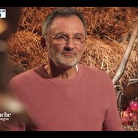 Audiences dimanche : Quel score pour le retour d'"Un dimanche à la campagne" avec Frédéric Lopez sur France 2 ?