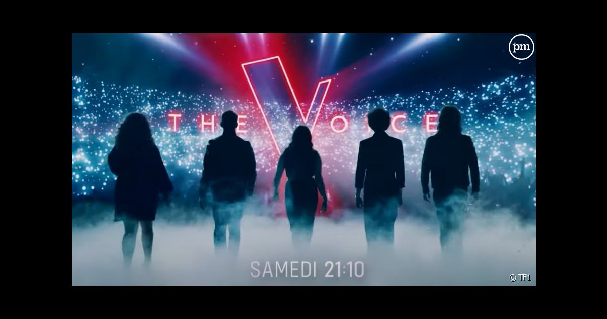 "The Voice 2024" Lara Fabian, Marc Lavoine, 2 gagnants de l