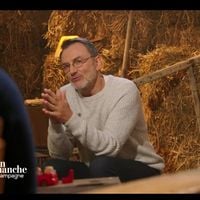 Audiences dimanche : Quels scores pour la rentrée de Frédéric Lopez dans "Un dimanche à la campagne" et Laurence Boccolini dans "Les enfants de la télé" sur France 2 ?