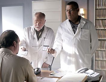 Audiences : "Les Experts" séduisent les ménagères
