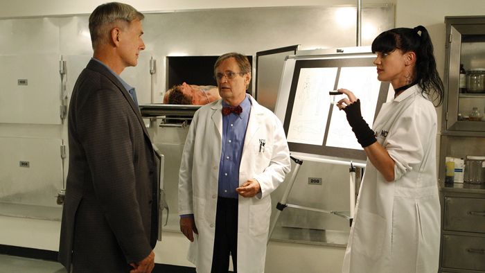 Audiences NCIS Plus Fort Que Les Experts Secret Story Stable audiences-ncis-plus-fort-que-les-experts-secret-story-stable