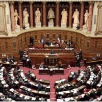 Suppression définitive de la pub sur France TV : les sénateurs s'opposent aux députés