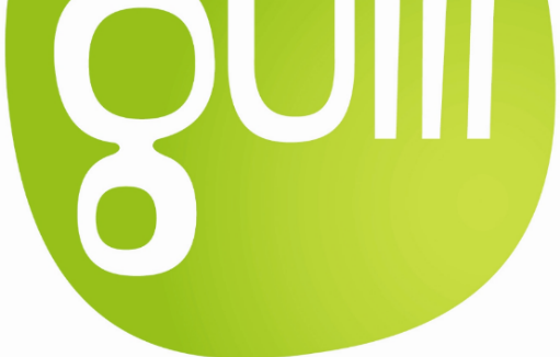 La chaîne Gulli va lancer son propre parc de loisirs