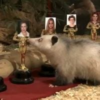 Vidéobuzz : Heidi l'opossum prédit les gagnants aux Oscars (VOST)