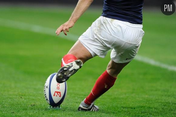 TF1, France Télévisions et Canal+ retransmettront la Coupe du monde de rugby à la rentrée. La Une a en effet revendu une partie des droits de la compétition à ses concurrentes.