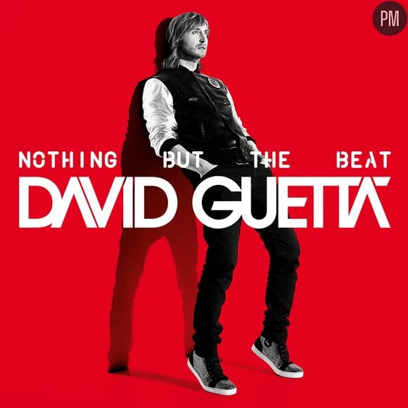 5. David Guetta - Nothing but the Beat / 58.000 ventes (Entrée)