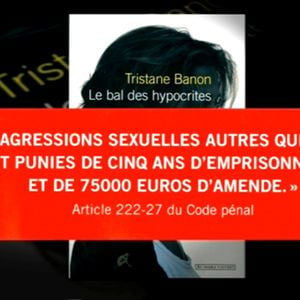 "Le bal des hypocrites", l'ouvrage de Tristane Banon sur DSK.