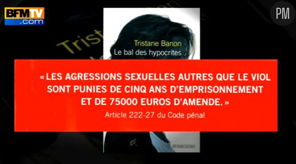 "Le bal des hypocrites", l'ouvrage de Tristane Banon sur DSK.