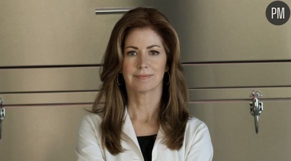 Dana Delany dans "Body of Proof".