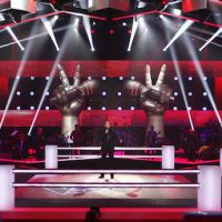 The Voice 1x05 : "On en a pris plein la gueule"