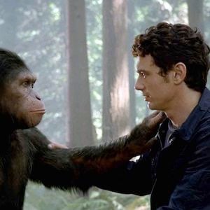 Canal+ diffuse à 20h55 "La Planète des Singes : les origines"