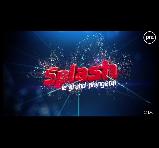 "Splash ! Le grand plongeon" arrive le 8 février sur TF1