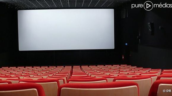 Les films à petit budget pénalisés en 2012