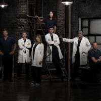 TF1 : "Grey's Anatomy" revient le 24 avril, suivi de "Revenge" à 22h20 !