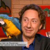 Grosse frayeur pour Stéphane Bern dans "Comment ça va bien !"