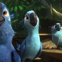 Bande-annonce : "Rio" et le perroquet bleu du créateur de "L'Âge de Glace" reviennent en 2014