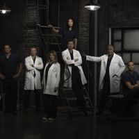 TF1 : "Grey's Anatomy" saison 9 et "Revenge" saison 2 le 23 avril