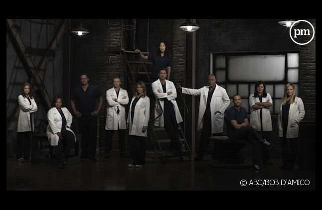 "Grey's Anatomy" saison 9 dès le 23 avril sur TF1