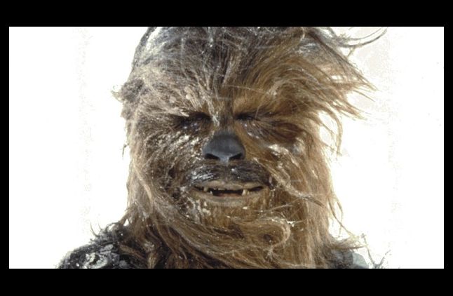 Chewbacca revient dans "Star Wars: Episode VII"