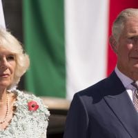 La BBC déprogramme au dernier moment un documentaire critique sur le prince Charles