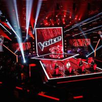 Audiences : "The Voice" leader, "Le Sang de la Vigne" en hausse, "NCIS : Los Angeles" remonte légèrement
