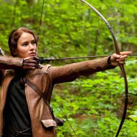 D8 explose ses tarifs publicitaires pour "Hunger Games"