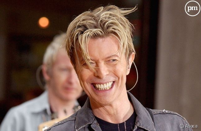 David Bowie toujours leader du Top Albums français