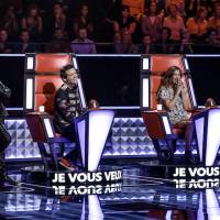 Audiences : "The Voice" large leader pour son retour devant France 2, "NCIS : Los Angeles" en baisse