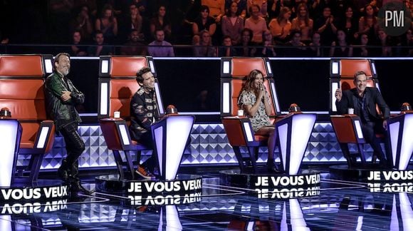 "The Voice" a-t-il réussi son retour ?