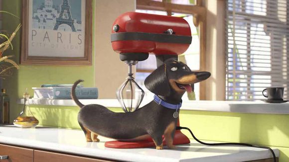 Bande-annonce : "Comme des bêtes" ou la vie des animaux en l'absence de leurs maîtres