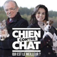 Ce soir sur M6 : Faustine Bollaert et Mac Lesggy en duo dans "Chien contre chat : qui est le meilleur ?"