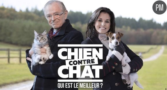 "Chien contre chat : qui est le meilleur ?"