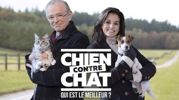 Ce soir sur M6 : Faustine Bollaert et Mac Lesggy en duo dans "Chien contre chat : qui est le meilleur ?"