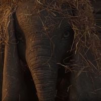 "Dumbo" : Premier teaser du film Disney signé Tim Burton