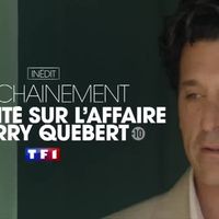 "La vérité sur l'affaire Harry Quebert" : TF1 tease sa nouvelle mini-série événement