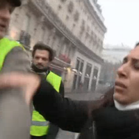 Gilets jaunes : Salhia Brakhlia ("Quotidien") brutalisée lors des manifestations à Paris