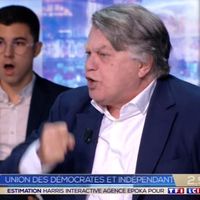 Européennes 2019 : Enorme clash entre Gilbert Collard et Daniel Cohn-Bendit sur TF1