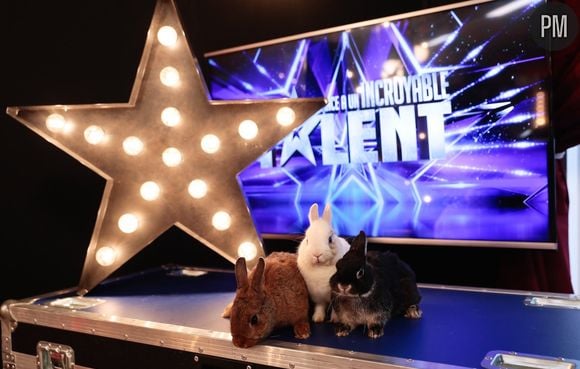 Quel bilan d'audience pour la saison 14 de "La France a un incroyable talent" ?