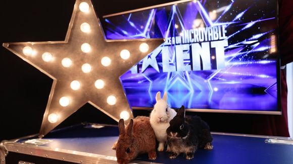 Audiences : Quel bilan pour la saison 14 de "La France a un incroyable talent" sur M6 ?