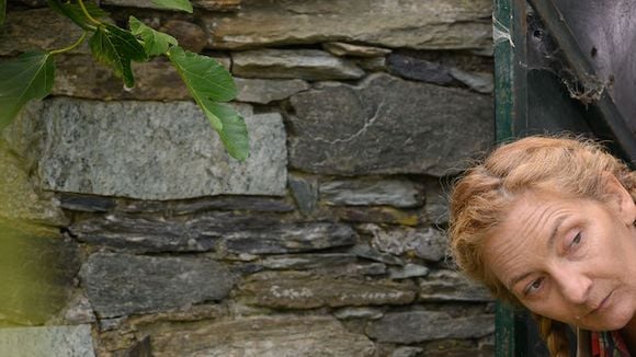 Audiences février : TF1 leader, France 2 en forme, France 5 et RMC Story au plus haut, NRJ 12 au plus bas depuis 2009