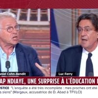 "Ta gueule !", "Pauvre Crétin !" : Daniel Cohn-Bendit et Luc Ferry s'insultent sur LCI