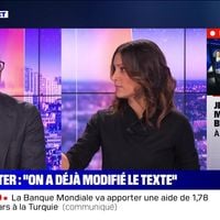 "Ça, c'est une fake news" : Face à face musclé entre Aurélie Casse et Franck Riester sur BFMTV