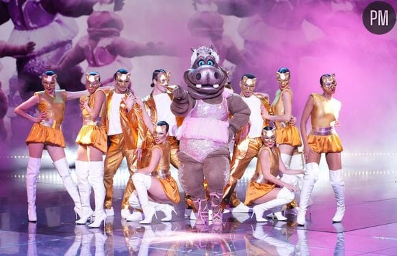 Qui se cache derrière l'Hippopotame de "Mask Singer" saison 6 ?