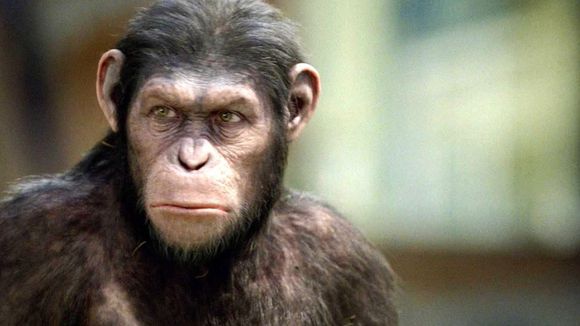Premières séances : le prequel de "La planète des singes" cartonne