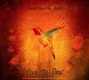 2. David Crowder Band - Give Us Rest