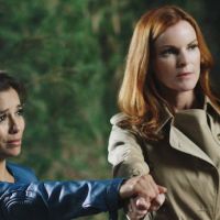 Programme TV : Les "Desperate Housewives" reviennent une dernière fois avant leurs adieux