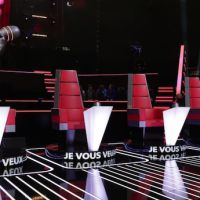 "The Voice, la plus belle voix" : Que sont devenus les talents de la saison 1 ?