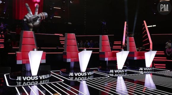 Que sont devenus les talents de la saison 1 de "The Voice" ?